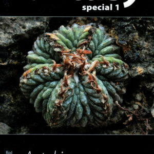 Genus Aztekium (Eng)