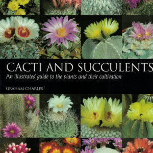 Cacti and Succulents (Eng)