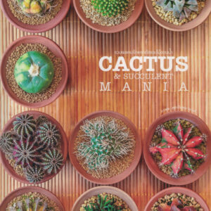 Cactus & Succulent Mania