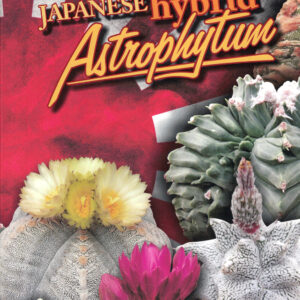 Japanese Hybrids Astrophytum (Eng)
