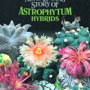 The Neverending Story of Astrophytum hybrids (Eng)