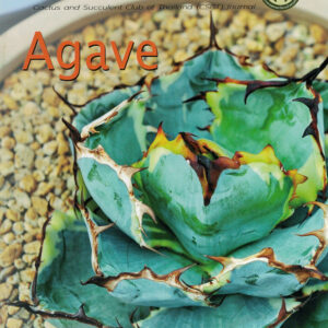 วารสารชมรม เล่ม 7 (เมย.-มิย 61)