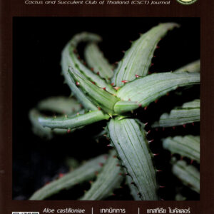 วารสารชมรม เล่ม 19 (เมษ-มิย 64)